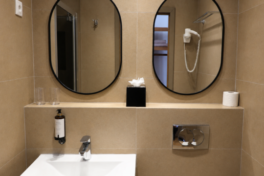 CHAMBRE CLASSIQUE MASSENA SDB 2